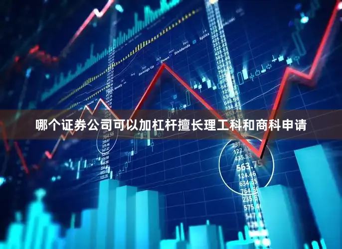 哪个证券公司可以加杠杆擅长理工科和商科申请