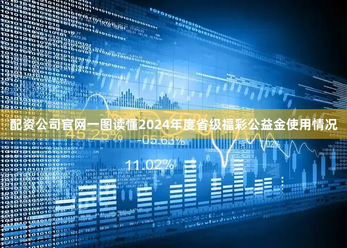 配资公司官网一图读懂2024年度省级福彩公益金使用情况
