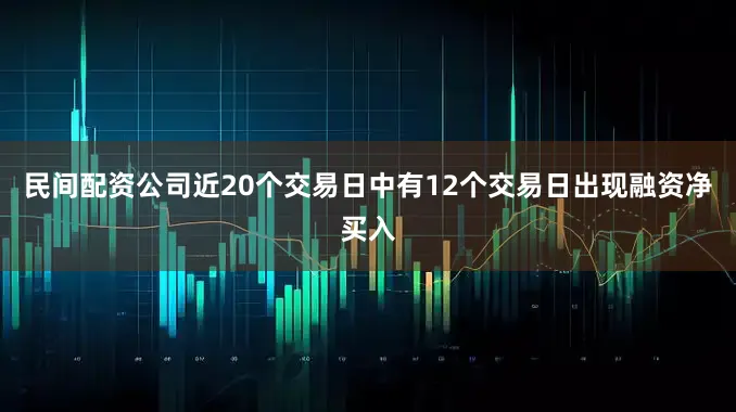 民间配资公司近20个交易日中有12个交易日出现融资净买入